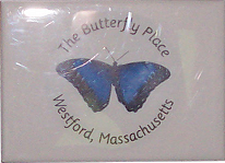 Butterfly Place