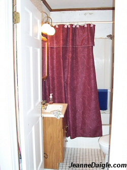 Bathroom Before Picture